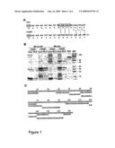 HCV F PROTEIN AND USES THEREOF diagram and image