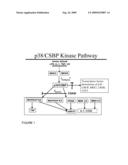 NOVEL COMPOUNDS diagram and image