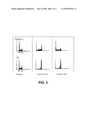 Kinesin inhibitors as cancer therapeutics diagram and image