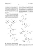 Kinesin inhibitors as cancer therapeutics diagram and image