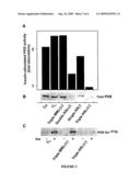 Antisense oligonucleotides against protein kinase isoforms alpha, beta and gamma diagram and image