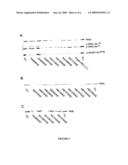 Antisense oligonucleotides against protein kinase isoforms alpha, beta and gamma diagram and image