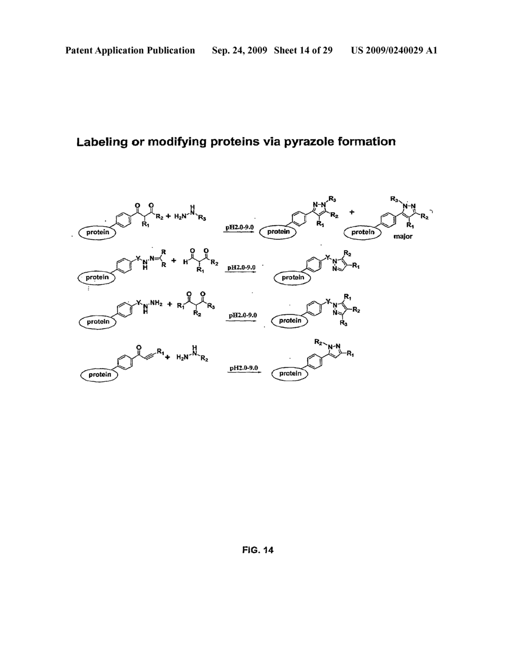 Compositions Containing, Methods Involving, and Uses of Non-Natural Amino Acids and Polypeptides - diagram, schematic, and image 15