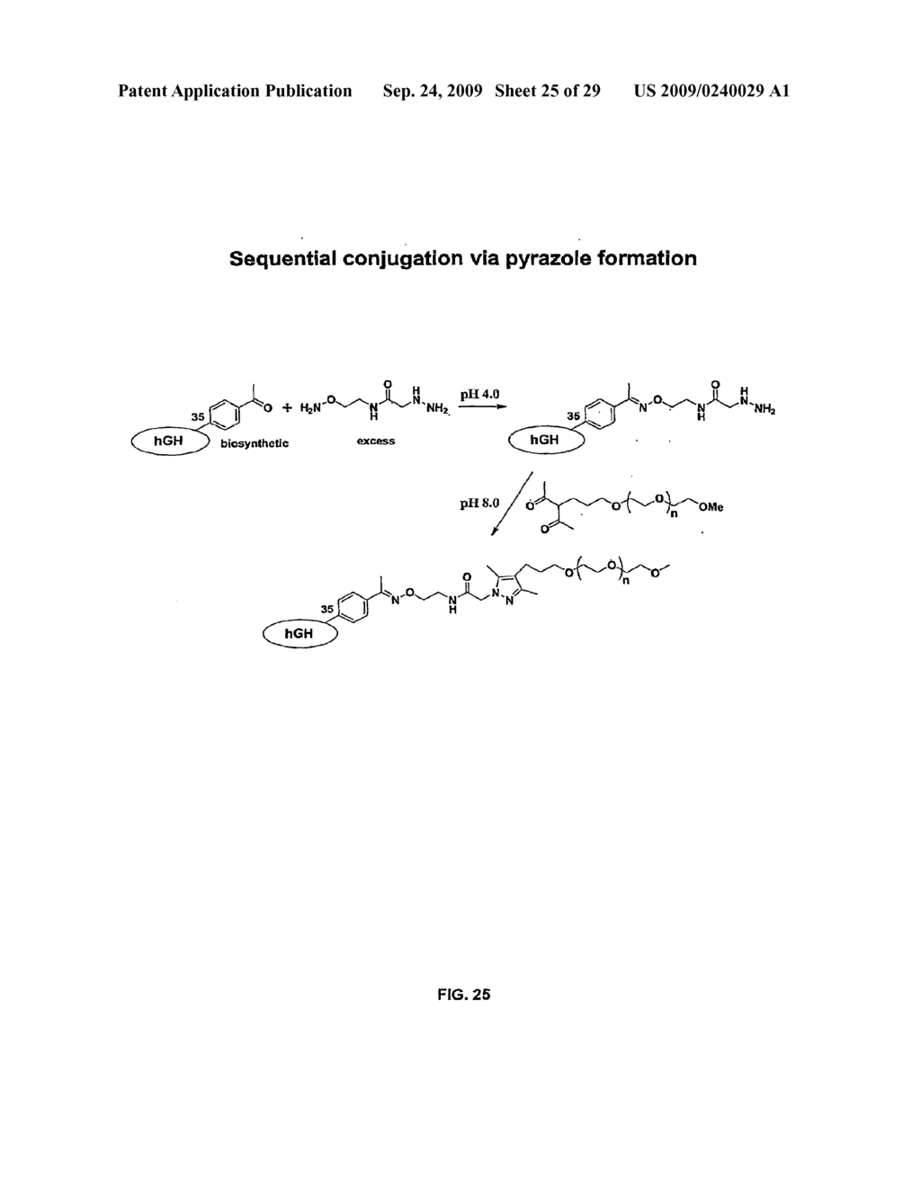 Compositions Containing, Methods Involving, and Uses of Non-Natural Amino Acids and Polypeptides - diagram, schematic, and image 26