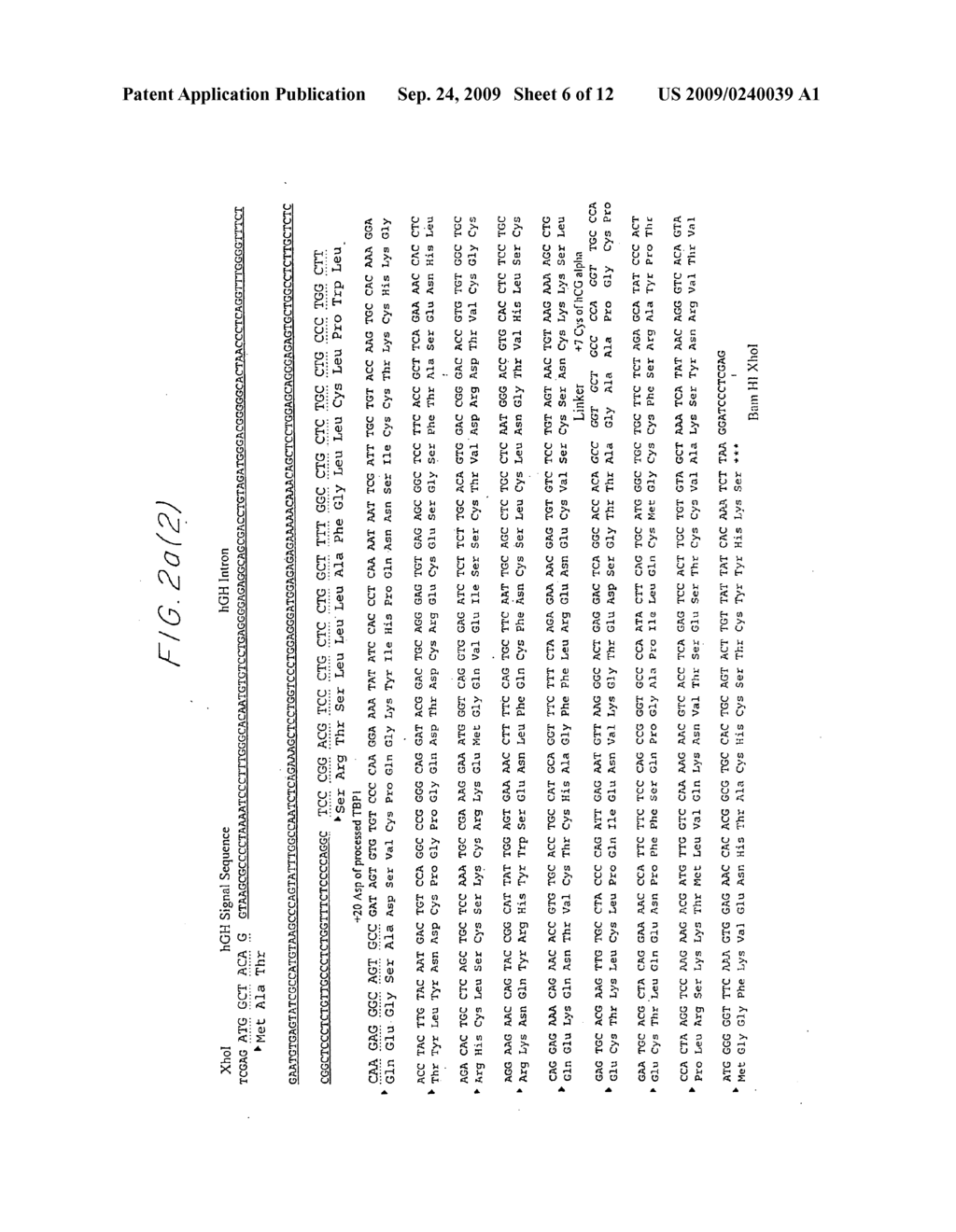 Polypeptide fusion - diagram, schematic, and image 07