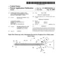 Endoscope With a Stimulating Electrode For Peripheral Nerve Blocks Under Direct Vision diagram and image