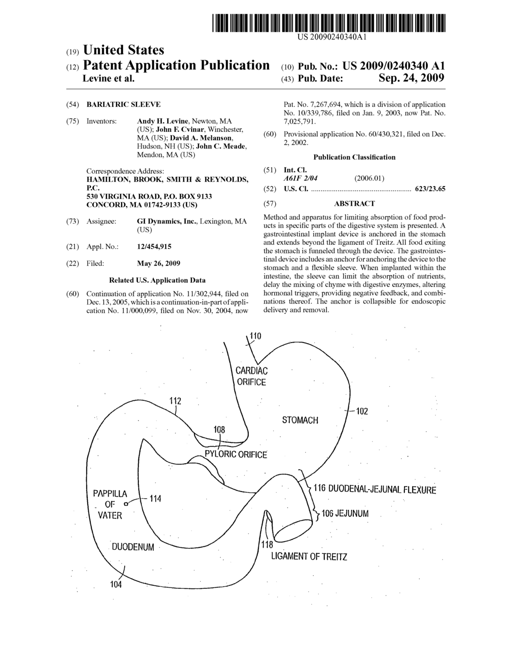 Bariatric sleeve - diagram, schematic, and image 01