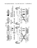 ARITHMETIC OPERATING APPARATUS AND METHOD FOR PERFORMING ARITHMETIC OPERATION diagram and image