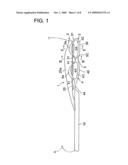 Sole structure for a shoe diagram and image