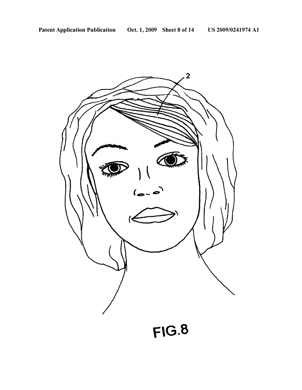 Wig component - diagram, schematic, and image 09