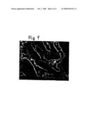 Nonmagnetic Material Particle Dispersed Ferromagnetic Material Sputtering Target diagram and image