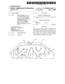 CURTAIN AIRBAG diagram and image