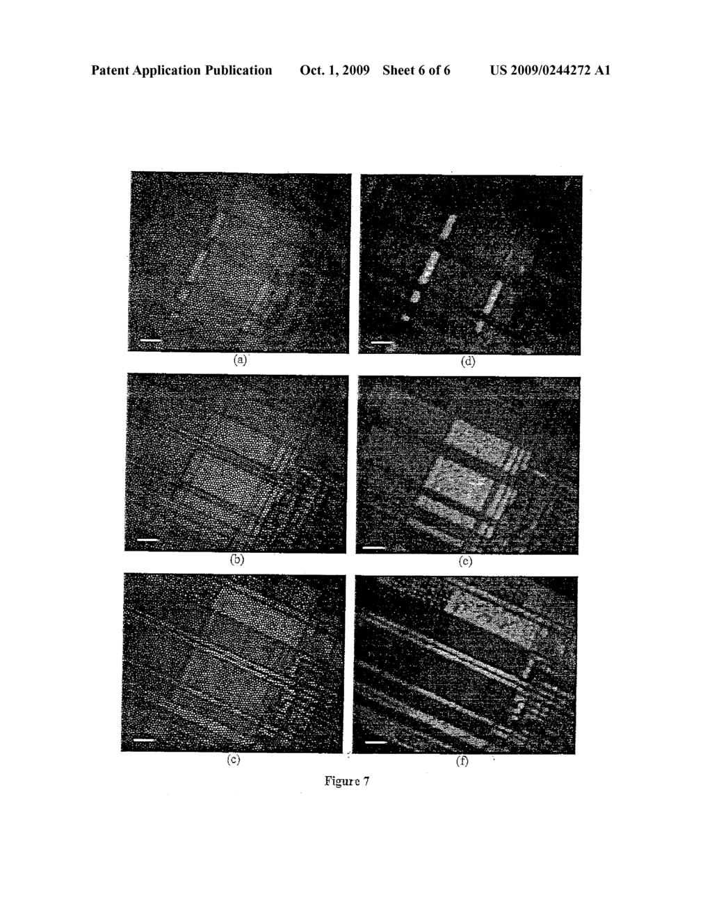 METHODS AND APPARATUS FOR IMAGING USING A LIGHT GUIDE BUNDLE AND A SPATIAL LIGHT MODULATOR - diagram, schematic, and image 07