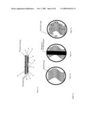 Security Device diagram and image