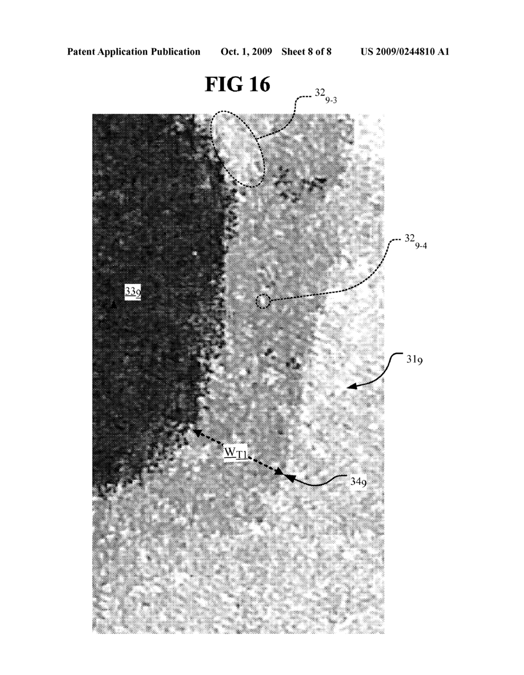 ELECTROCHEMICAL CAPACITOR - diagram, schematic, and image 09