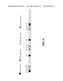 Downlink phich mapping and channelization diagram and image