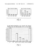 CD56 POSITIVE HUMAN ADULT PANCREATIC ENDOCRINE PROGENITOR CELLS diagram and image