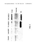 Methods for Promoting Neurite Outgrowth and Survival of Dopaminergic Neurons diagram and image