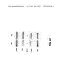 Methods for Promoting Neurite Outgrowth and Survival of Dopaminergic Neurons diagram and image