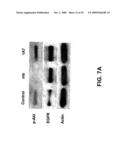 Methods for Promoting Neurite Outgrowth and Survival of Dopaminergic Neurons diagram and image