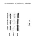 Methods for Promoting Neurite Outgrowth and Survival of Dopaminergic Neurons diagram and image