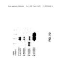 Methods for Promoting Neurite Outgrowth and Survival of Dopaminergic Neurons diagram and image