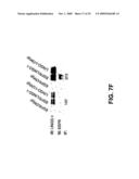 Methods for Promoting Neurite Outgrowth and Survival of Dopaminergic Neurons diagram and image