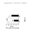 Methods for Promoting Neurite Outgrowth and Survival of Dopaminergic Neurons diagram and image