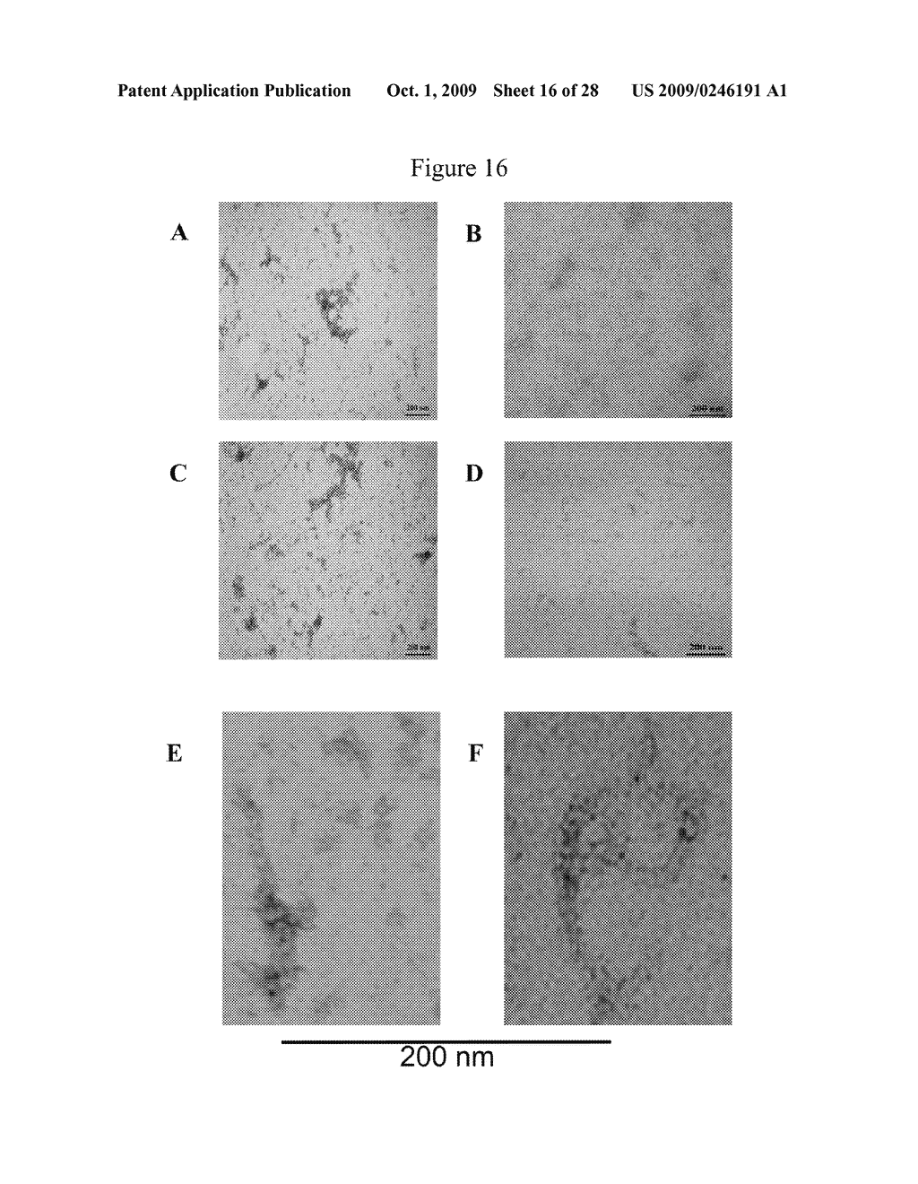 Preparation of Purified Covalently Cross-linked Abeta Oligomers and Uses Thereof - diagram, schematic, and image 17