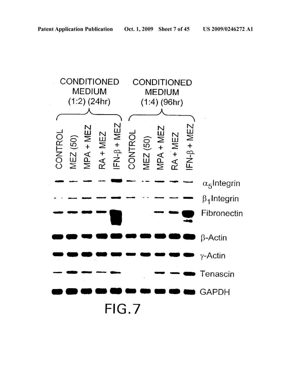 MDA-7 PROTEINS AND METHODS OF USE THEREOF - diagram, schematic, and image 08