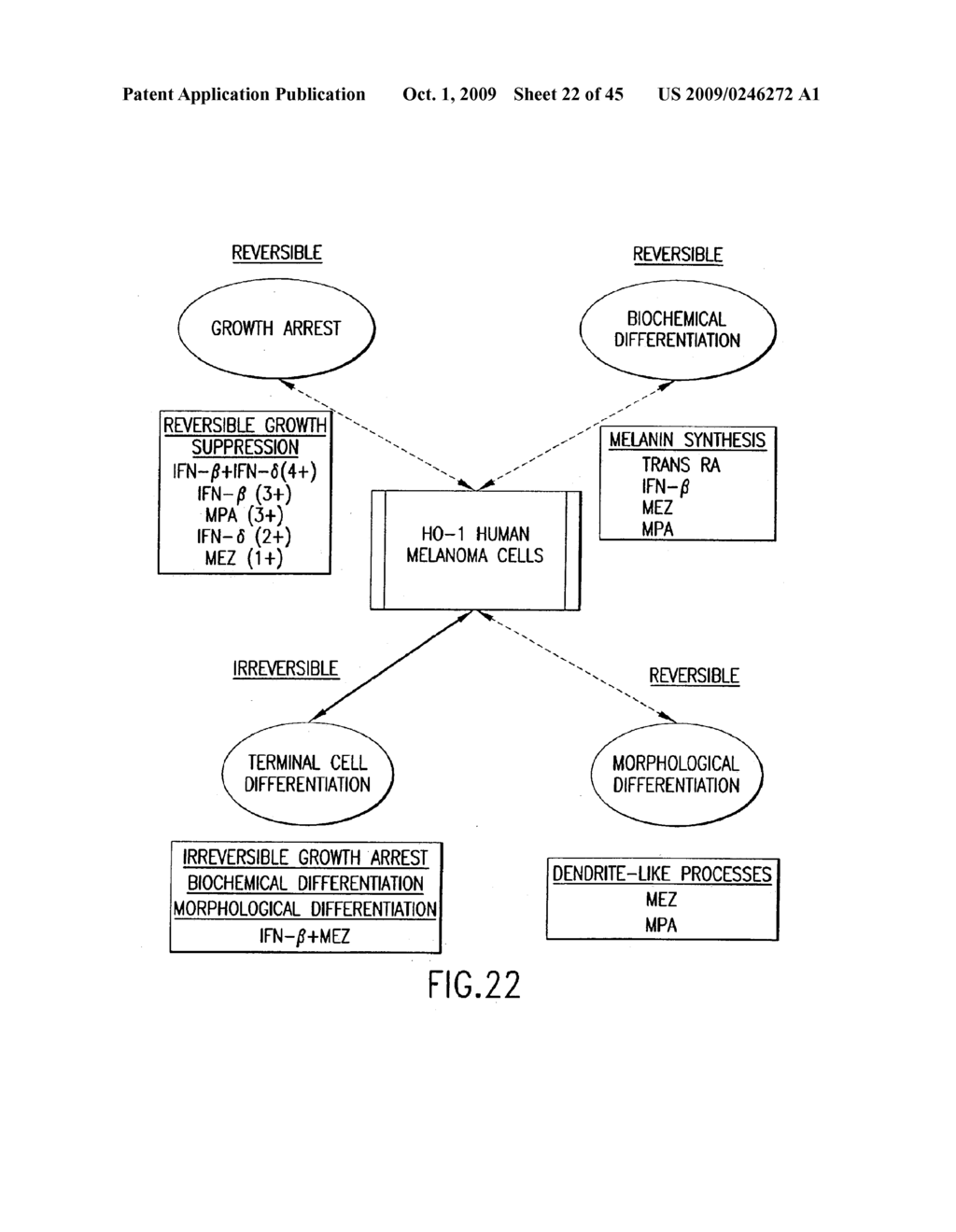 MDA-7 PROTEINS AND METHODS OF USE THEREOF - diagram, schematic, and image 23