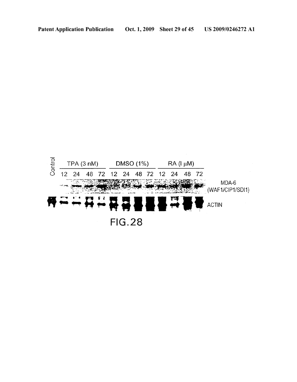 MDA-7 PROTEINS AND METHODS OF USE THEREOF - diagram, schematic, and image 30