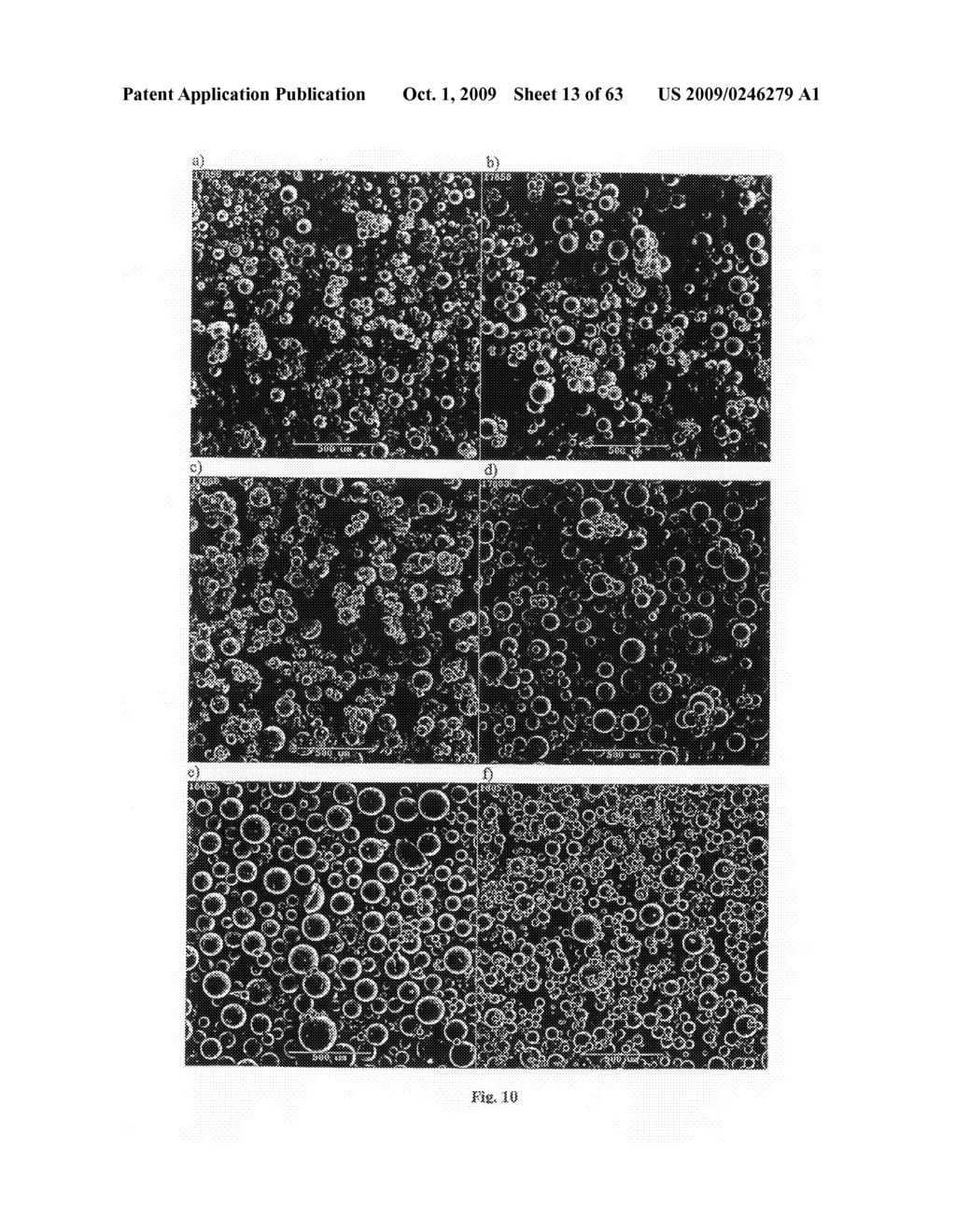 PARTICLES HAVING HYDROPHOBIC MATERIAL THEREIN - diagram, schematic, and image 14