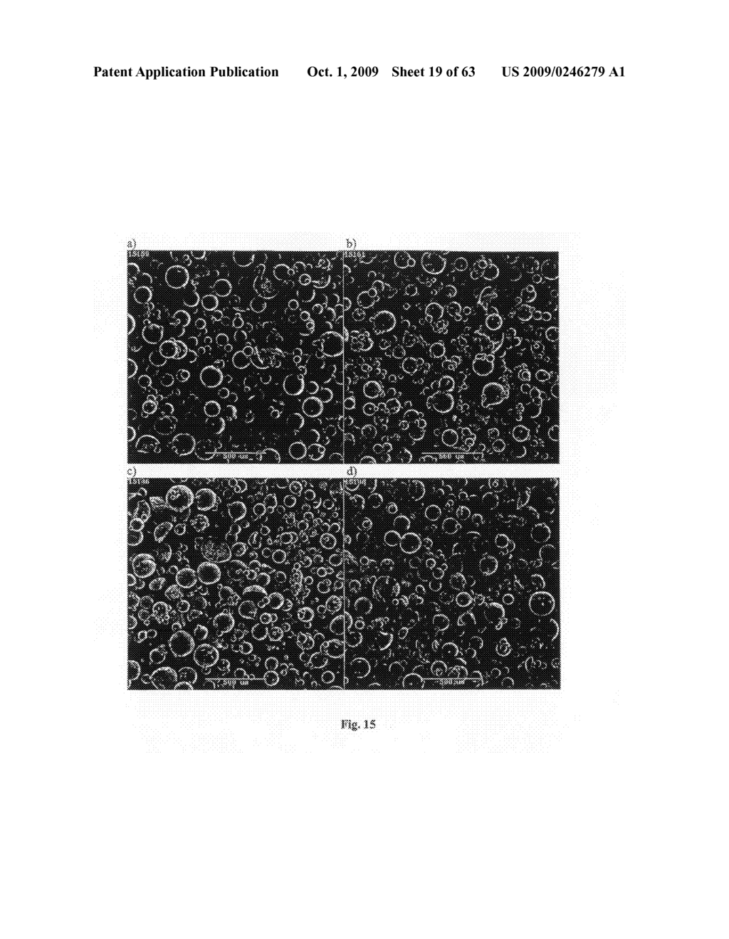 PARTICLES HAVING HYDROPHOBIC MATERIAL THEREIN - diagram, schematic, and image 20