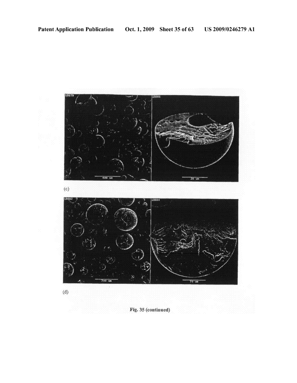 PARTICLES HAVING HYDROPHOBIC MATERIAL THEREIN - diagram, schematic, and image 36