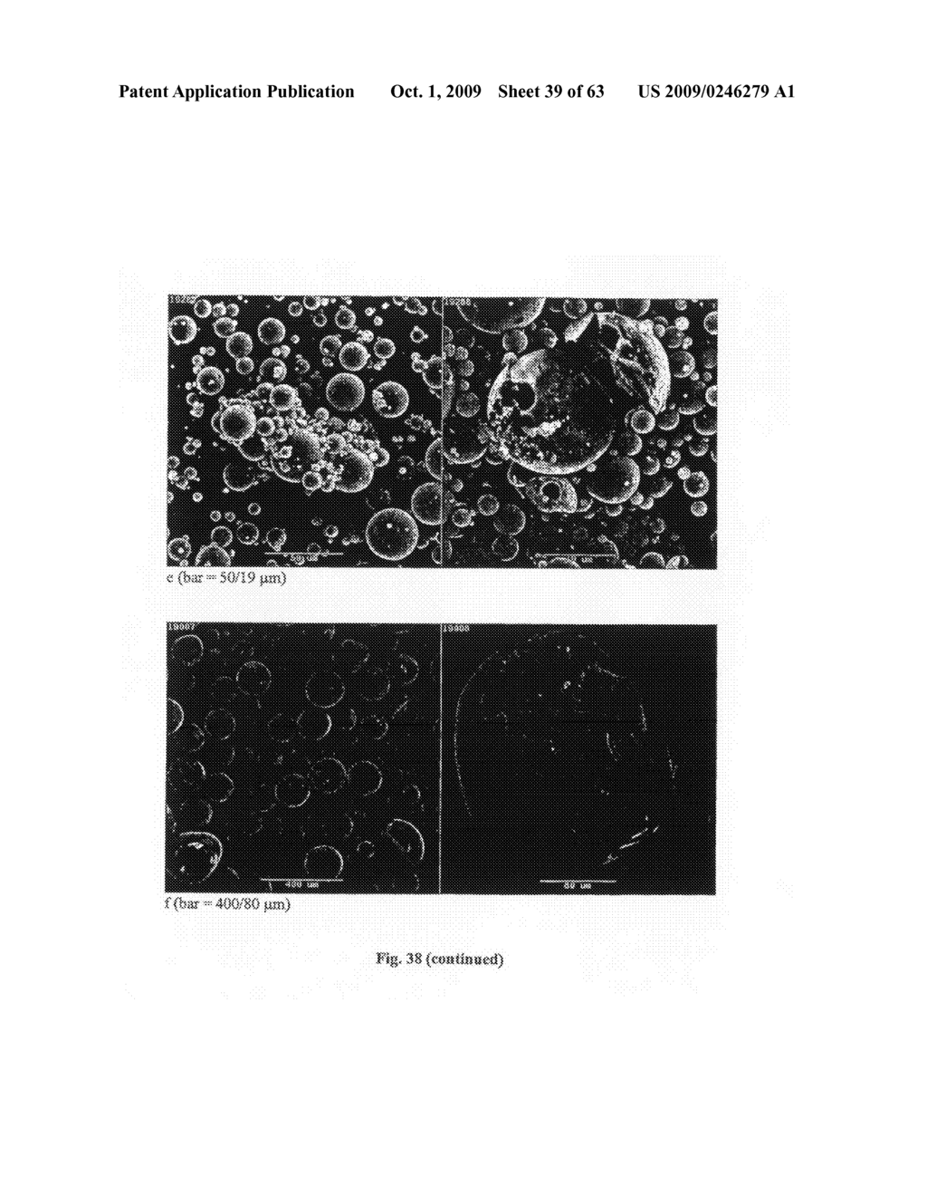 PARTICLES HAVING HYDROPHOBIC MATERIAL THEREIN - diagram, schematic, and image 40