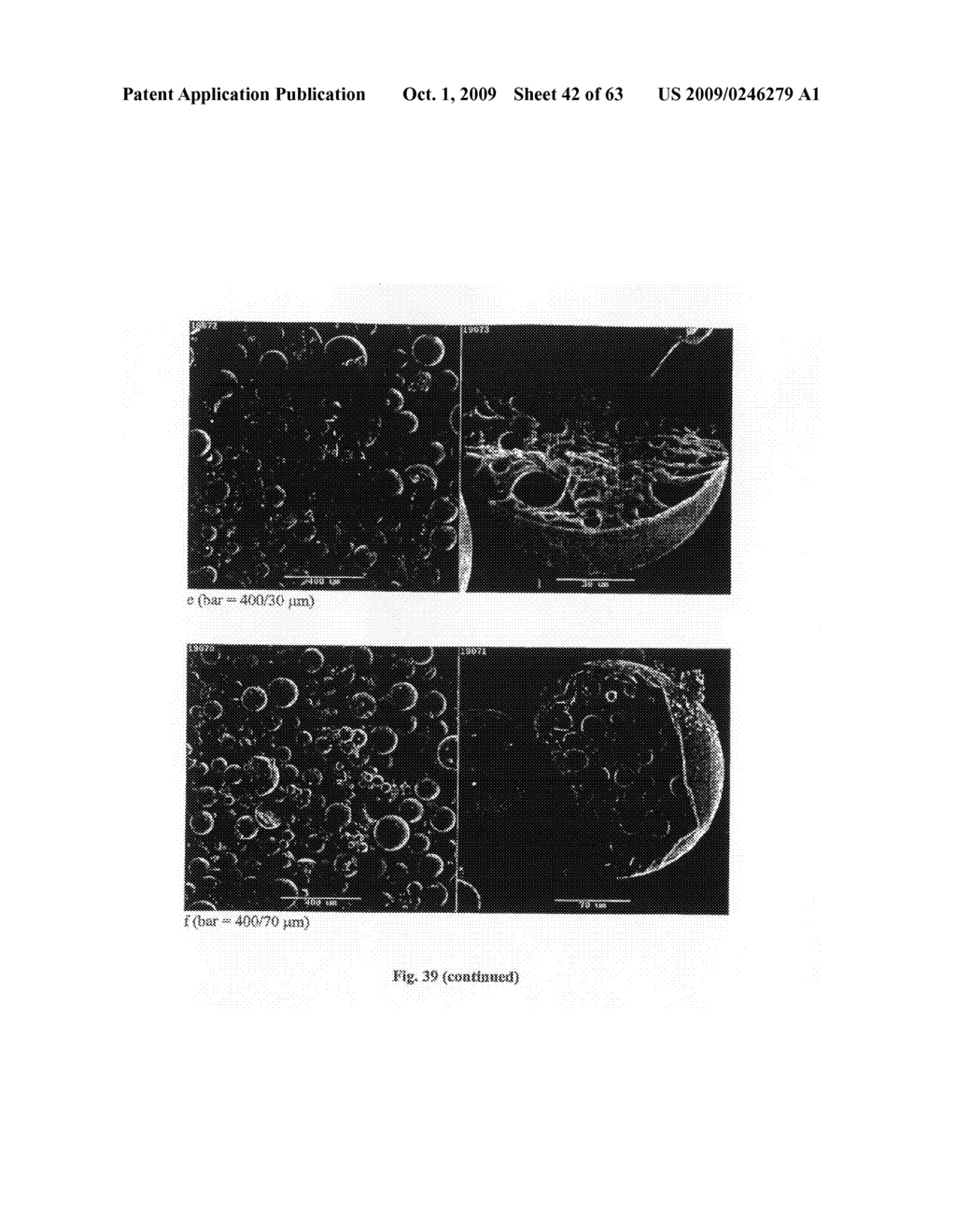 PARTICLES HAVING HYDROPHOBIC MATERIAL THEREIN - diagram, schematic, and image 43