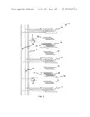 TUNNEL BRIDGE WITH ELASTOMERIC SEAL FOR A FUEL CELL STACK REPEATING UNIT diagram and image