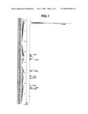 NOVEL PHOTOACID GENERATOR, RESIST COMPOSITION, AND PATTERNING PROCESS diagram and image