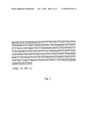 Method for the detection of group B Streptococcus (GBS) (Streptococcus agalactiae) in mammals diagram and image