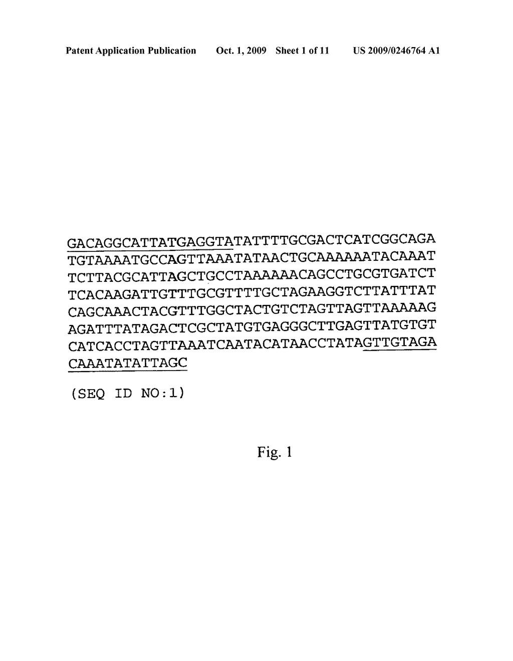 Method for the detection of group B Streptococcus (GBS) (Streptococcus agalactiae) in mammals - diagram, schematic, and image 02