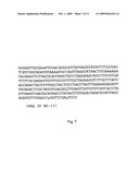 Method for the detection of group B Streptococcus (GBS) (Streptococcus agalactiae) in mammals diagram and image