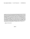 Method for the detection of group B Streptococcus (GBS) (Streptococcus agalactiae) in mammals diagram and image