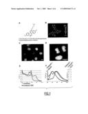 NOVEL DIBENZO[c,h][1,5]NAPHTHYRIDINES AND THEIR USE AS DNA PROBES diagram and image