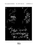 NOVEL DIBENZO[c,h][1,5]NAPHTHYRIDINES AND THEIR USE AS DNA PROBES diagram and image