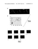 NOVEL DIBENZO[c,h][1,5]NAPHTHYRIDINES AND THEIR USE AS DNA PROBES diagram and image