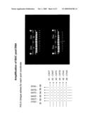 HIGH THROUGHPUT PHYSICAL MAPPING USING AFLP diagram and image