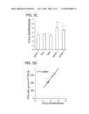 NAD BIOSYNTHESIS SYSTEMS diagram and image