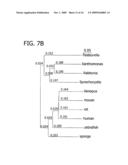 NAD BIOSYNTHESIS SYSTEMS diagram and image