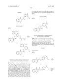 COMPOUNDS USEFUL IN CFTR ASSAYS AND METHODS THEREWITH diagram and image